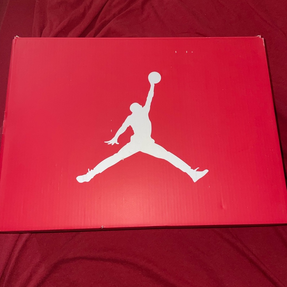Jordan Oreo 6s
